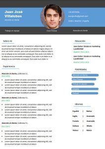 Plantilla Cv Serio - Curriculum Vitae online